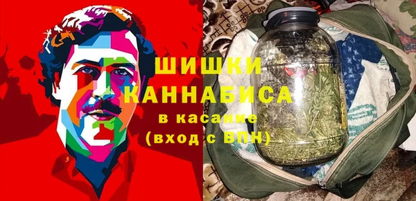 mdpv Медвежьегорск