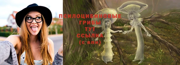 бутират Мегион