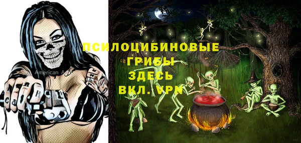mdpv Медвежьегорск