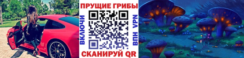 где продают наркотики  Новопавловск  Псилоцибиновые грибы Magic Shrooms 